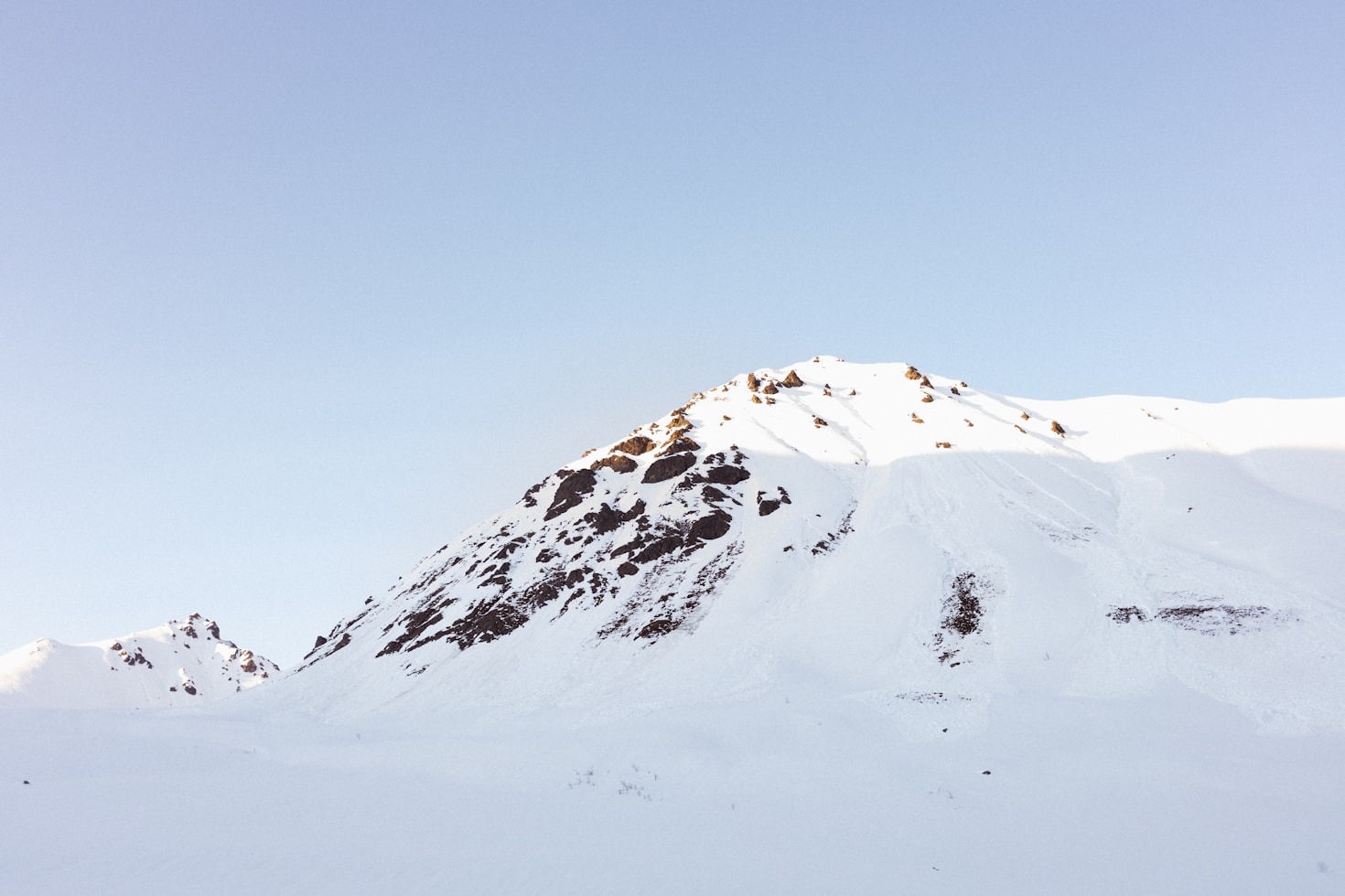 Why Choose Professional Guides for the Rockies